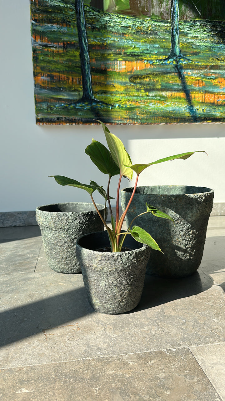 Muubs - Krukke Mosu 19 Mos grøn (21x19cm)