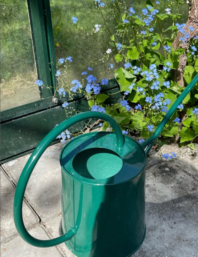 Vandkande 38X12X20cm 1,5 L grøn