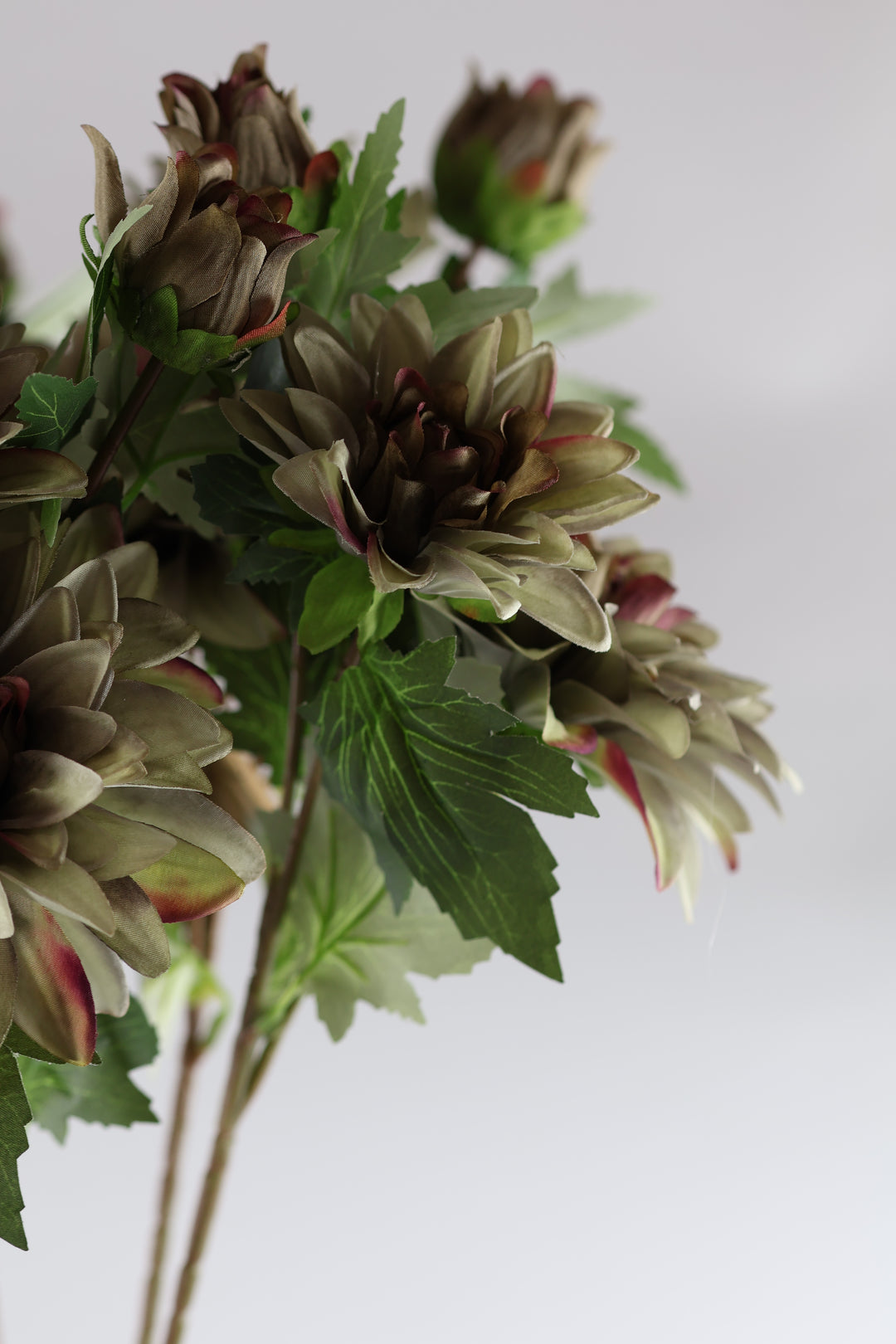 Dahlia m. 3 Blomst (H64cm) Lysegrøn