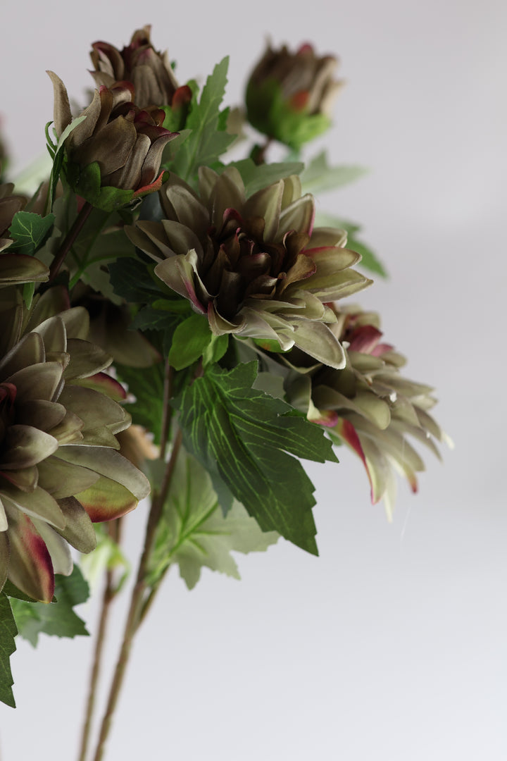 Dahlia m. 3 Blomst (H64cm) Lysegrøn