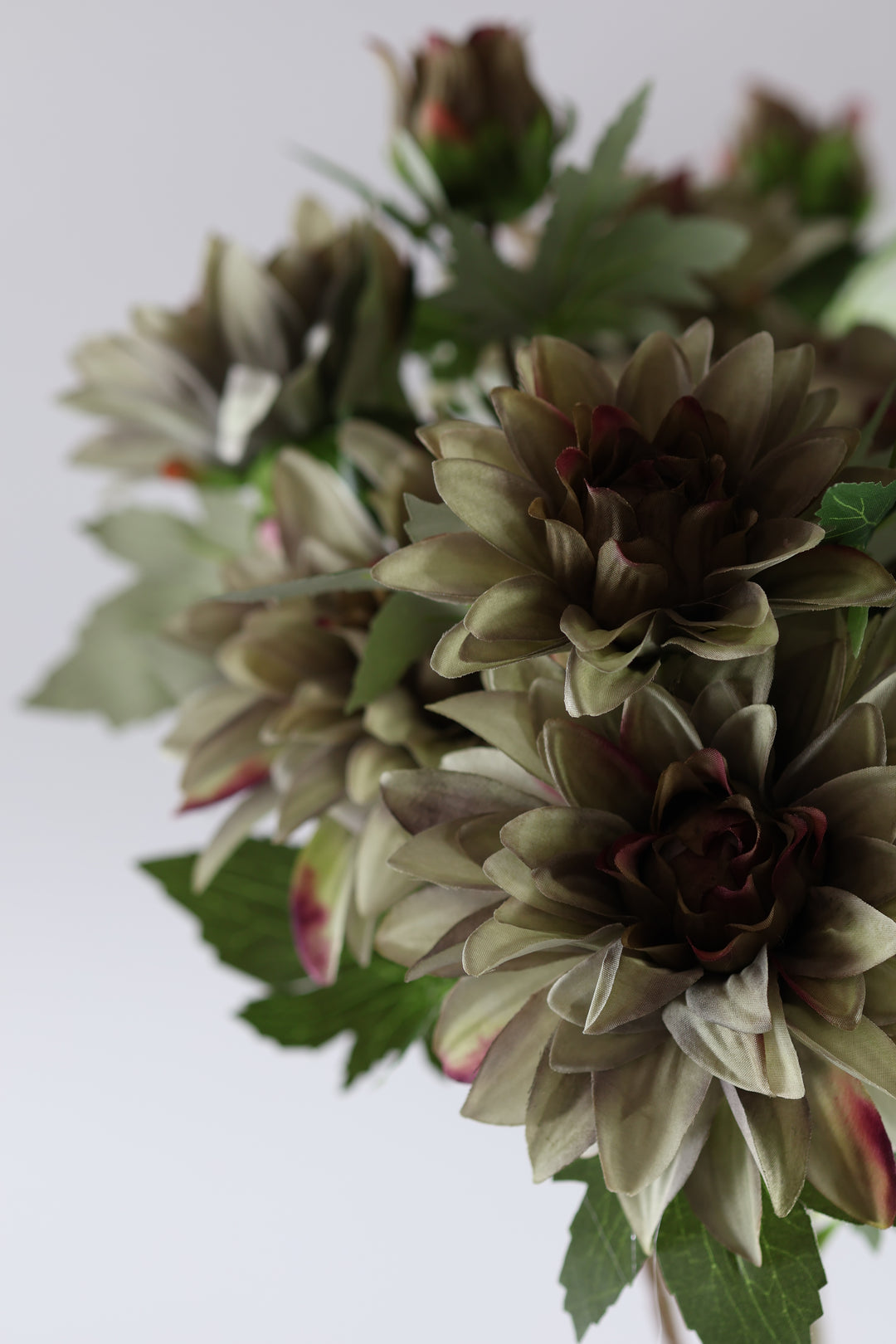 Dahlia m. 3 Blomst (H64cm) Lysegrøn