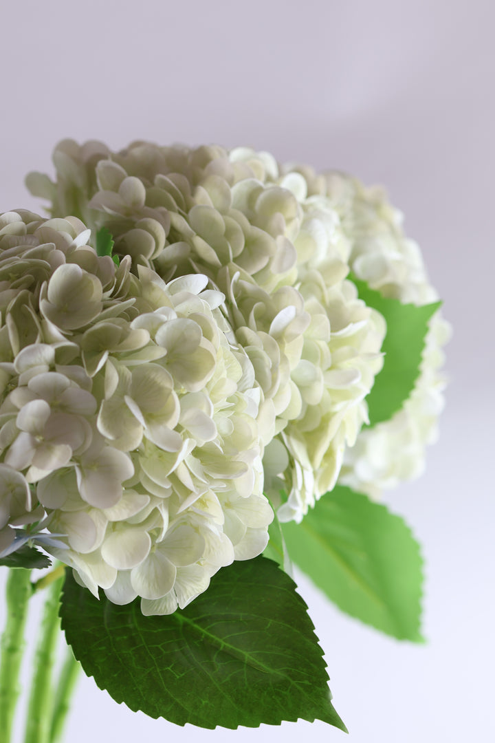 Evighedsbuket Hortensia Blomst i Hvid