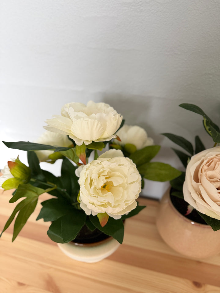 Rose i Potte Hvid 35cm