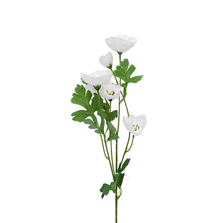 3 stk. Valmueblomster i Hvid (H40cm)