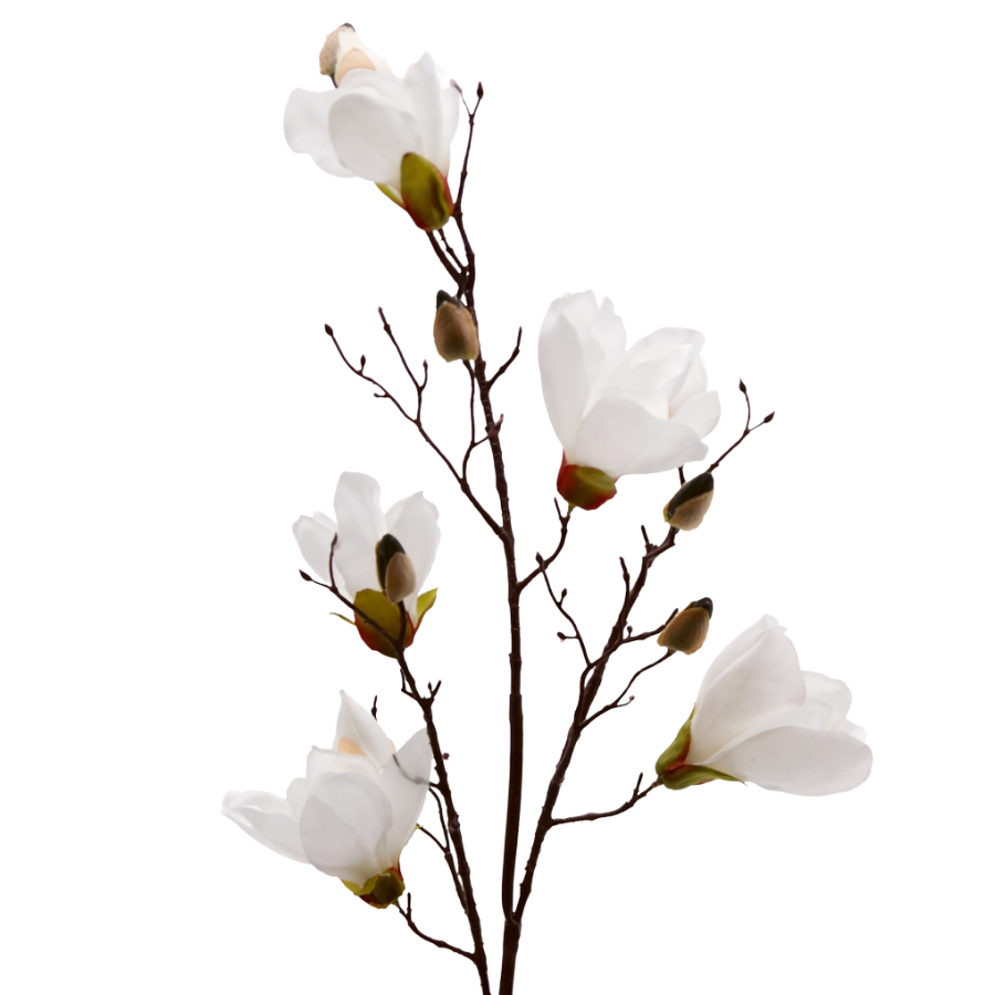 3 stk. Magnolia Blomster i Hvid (100cm)