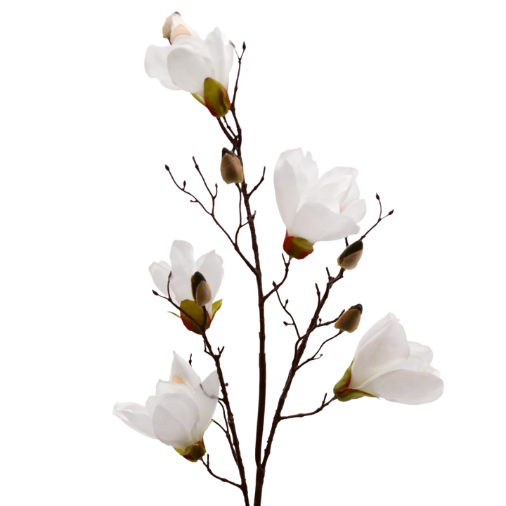 3 stk. Magnolia Blomster i Hvid (100cm)