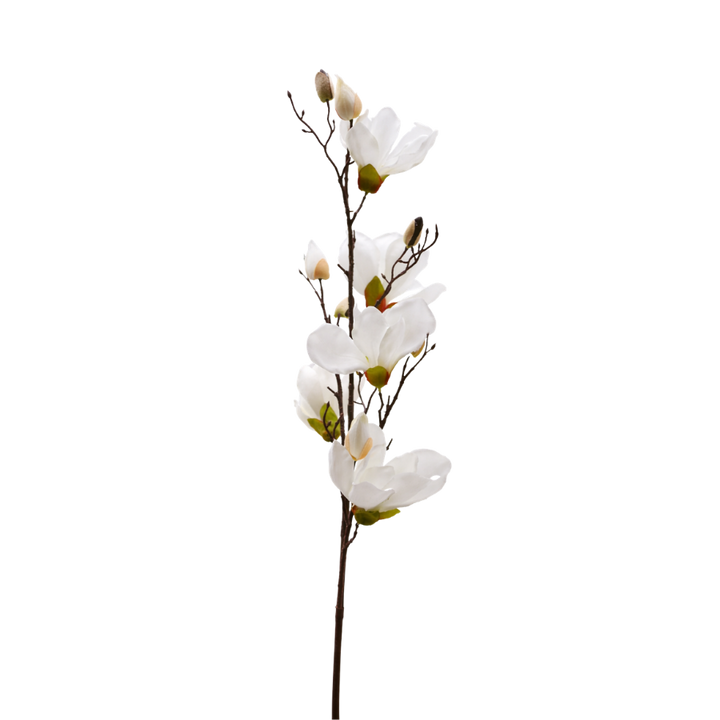 3 stk. Magnolia Blomster i Hvid (100cm)