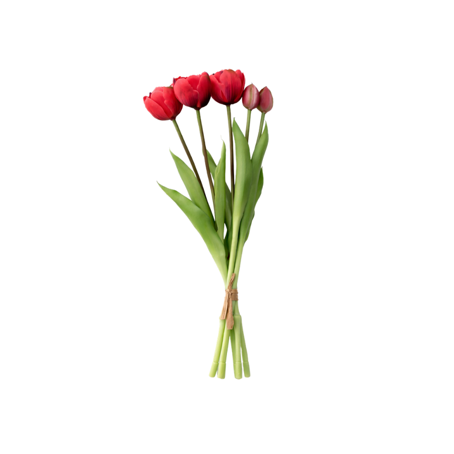 Tulipaner Buket  (H40cm) Rød