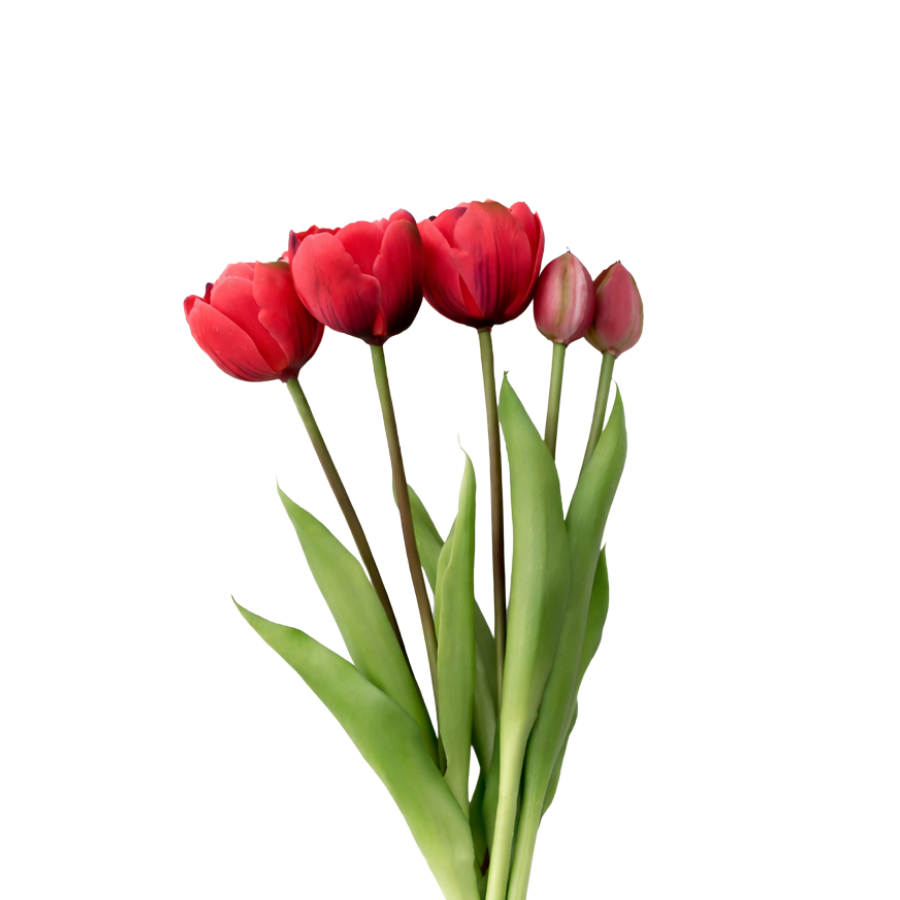 Tulipaner Buket  (H40cm) Rød