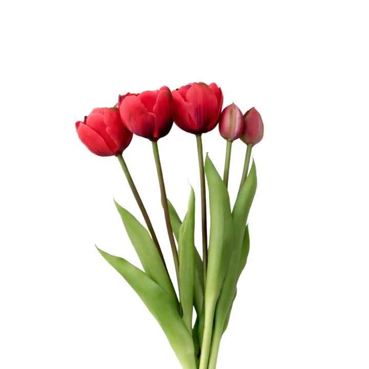 Tulipaner Buket  (H40cm) Rød