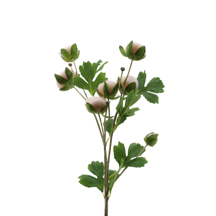 3 stk. Ranunkel Blomster i Champagne Farve (73cm)