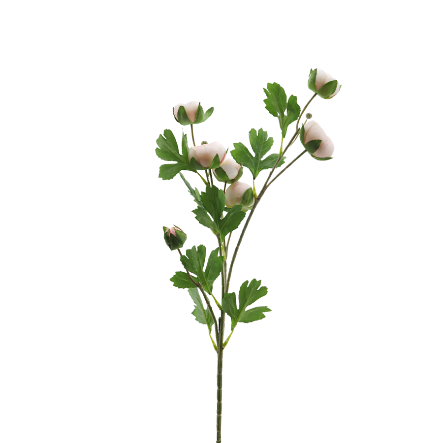 3 stk. Ranunkel Blomster i Champagne Farve (73cm)