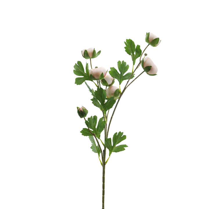 3 stk. Ranunkel Blomster i Champagne Farve (73cm)