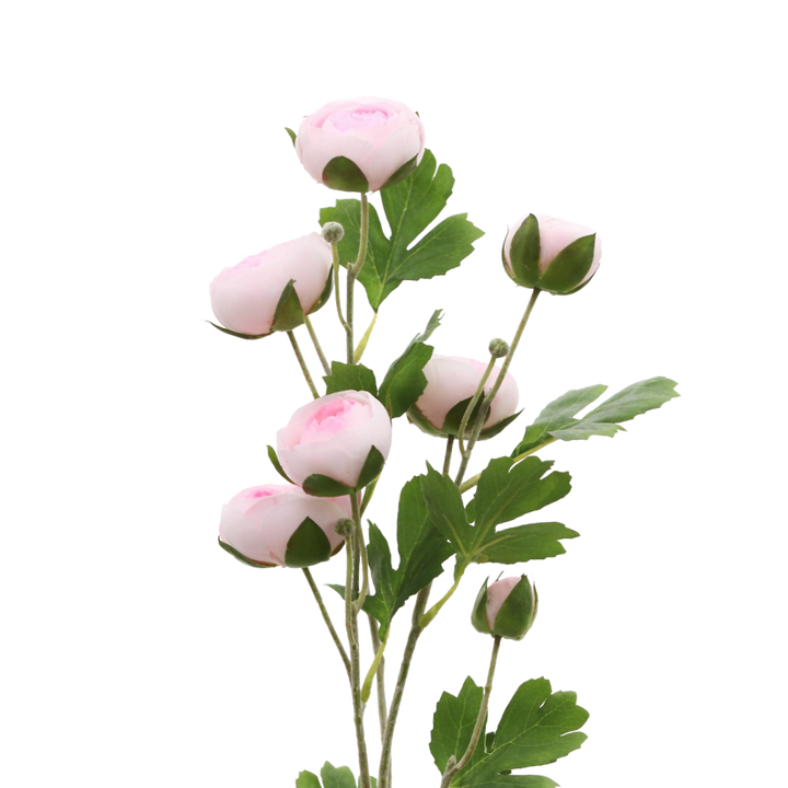 3 stk. Ranunkel Blomster (73cm) Lyserød