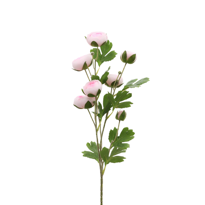3 stk. Ranunkel Blomster (73cm) Lyserød