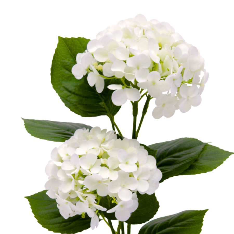 Kunstig plante Hortensia  (H 41cm) Hvid