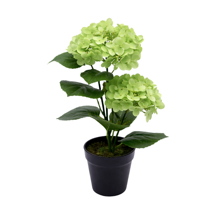 Kunstig plante Hortensia  (H 41cm) Grøn