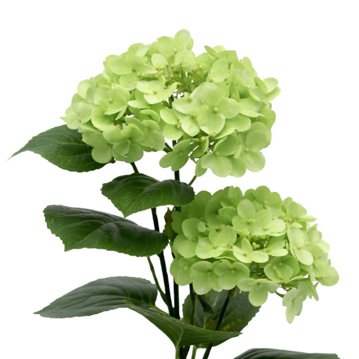 Kunstig plante Hortensia  (H 41cm) Grøn