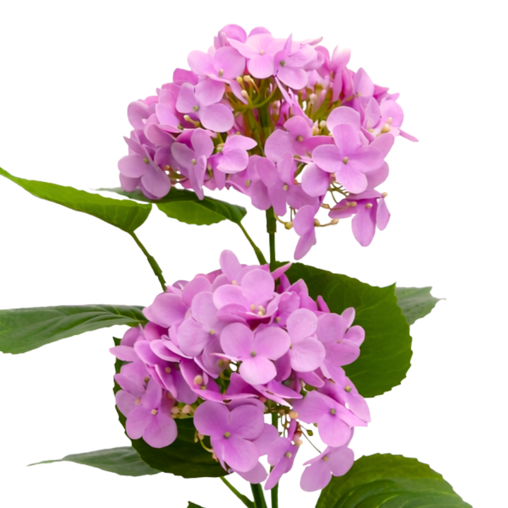 Kunstig plante Hortensia  (H 41cm) Lyserød