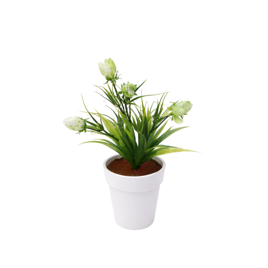 Kunstig plante Tulipanknopper  (H 21cm) Grøn