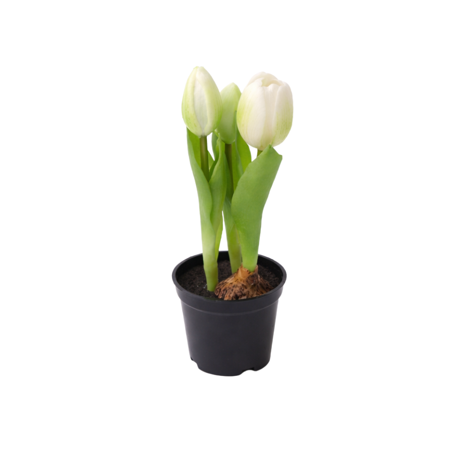 Kunstig plante Tulipaner  (H 23cm) Hvid