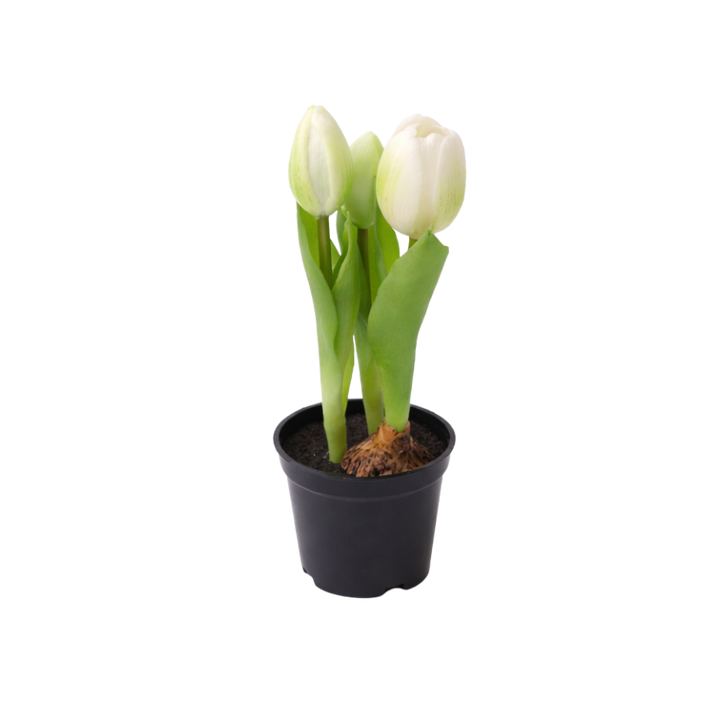 Kunstig plante Tulipaner  (H 23cm) Hvid