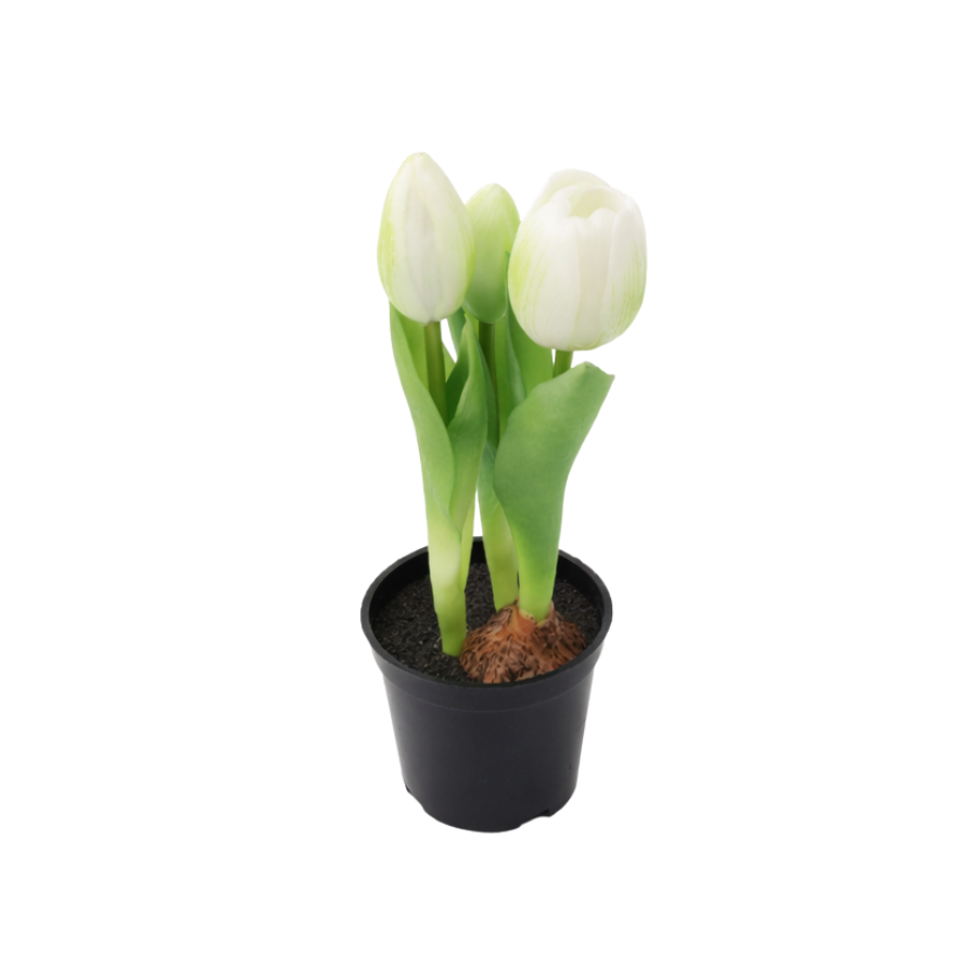 Kunstig plante Tulipaner  (H 23cm) Hvid