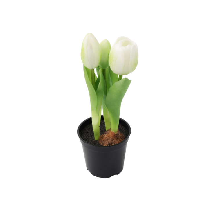 Kunstig plante Tulipaner  (H 23cm) Hvid