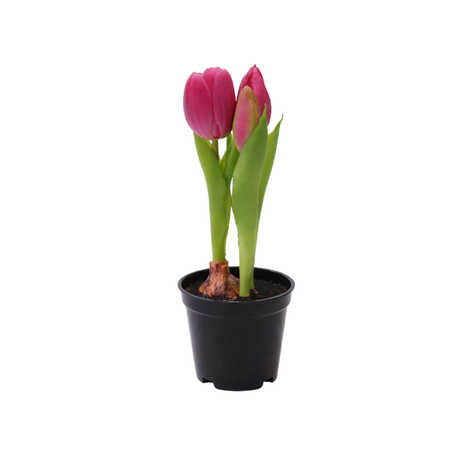 Kunstig plante Tulipaner  (H 21cm) Lyserød