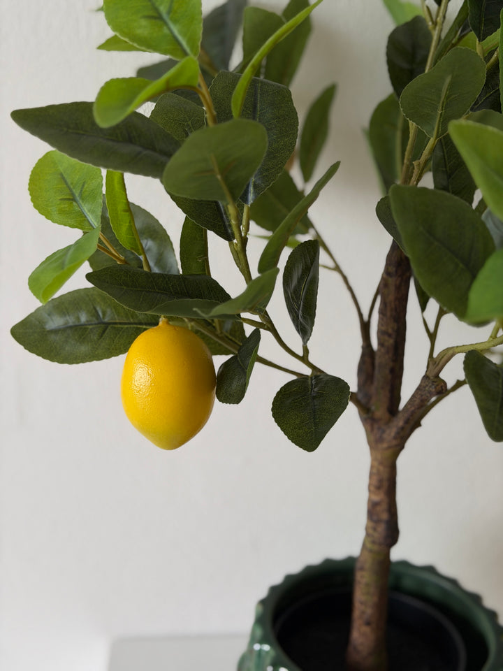 Kunstig plante Citrontræ  (H 60cm)