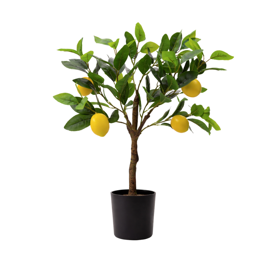 Kunstig plante Citrontræ  (H 60cm)
