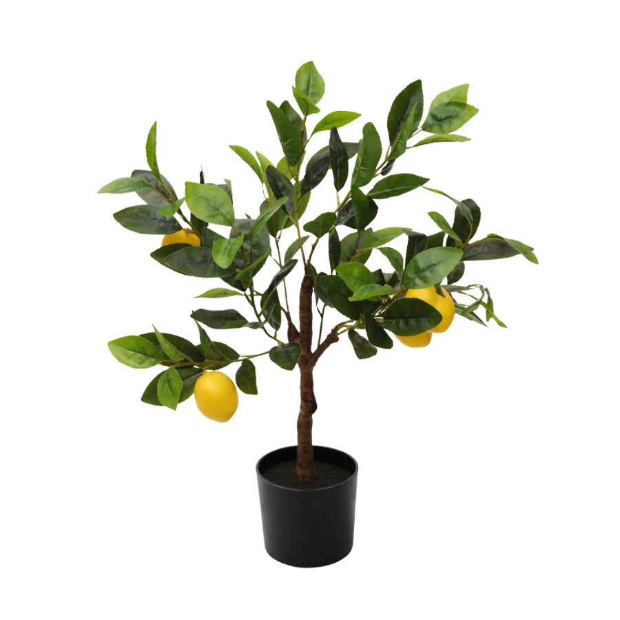 Kunstig plante Citrontræ  (H 60cm)