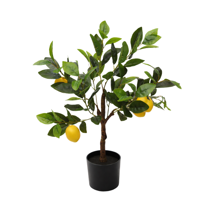 Kunstig plante Citrontræ  (H 60cm)