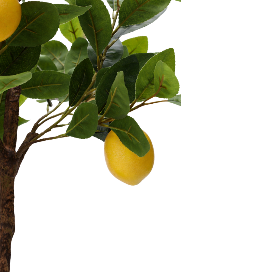Kunstig plante Citrontræ  (H 60cm)