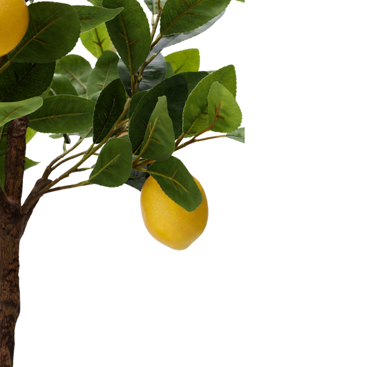 Kunstig plante Citrontræ  (H 60cm)