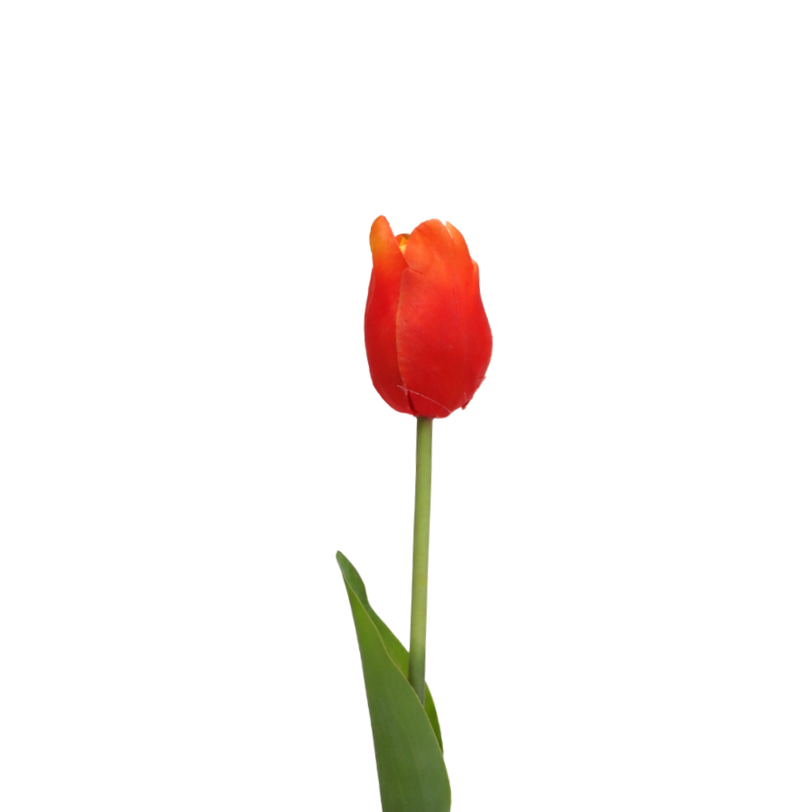 3 stk. Tulipaner i Orange (H48cm)