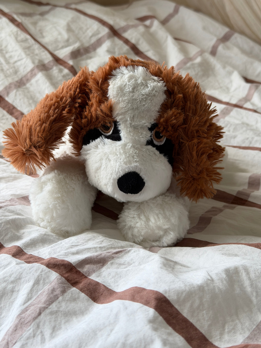 Bamse Hund ( 32cm) Brun