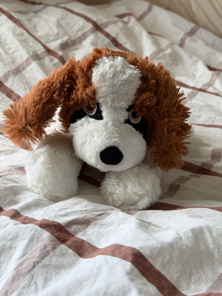 Bamse Hund ( 32cm) Brun