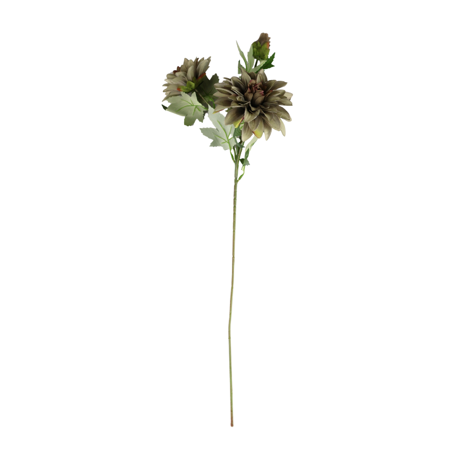 Dahlia m. 3 Blomst (H64cm) Lysegrøn