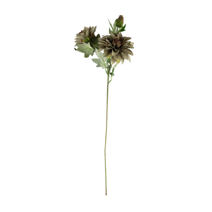 Dahlia m. 3 Blomst (H64cm) Lysegrøn
