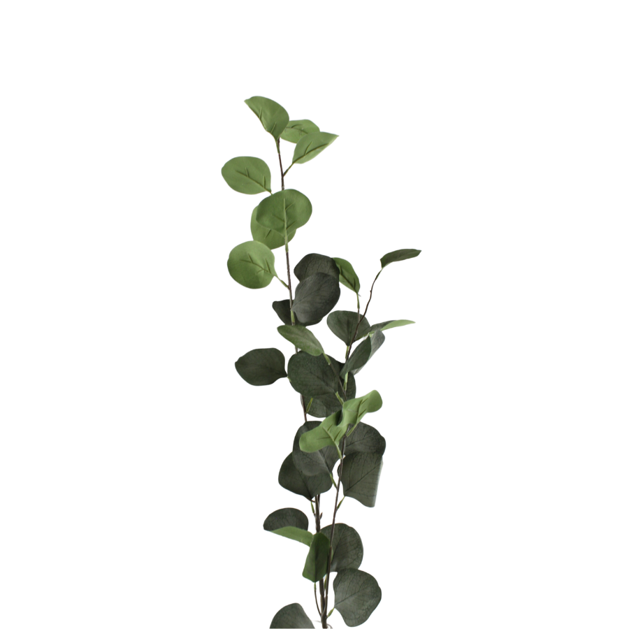 Eucalyptus Grene Grøn 78cm