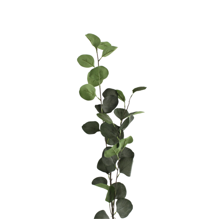 Eucalyptus Grene Grøn 78cm