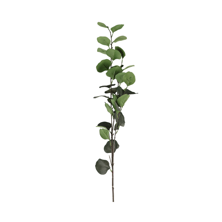 Eucalyptus Grene Grøn 78cm