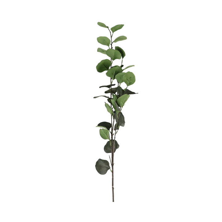 3 stk. Eucalyptus Grene Grøn (H78cm)