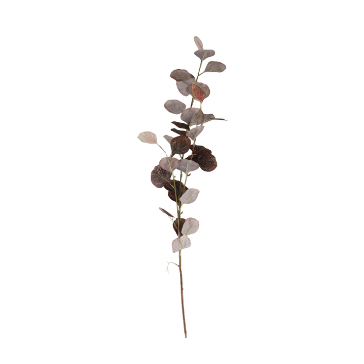 Eucalyptus Grene Kaffe farve 78cm