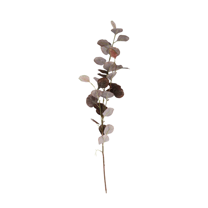 3 stk. Eucalyptus Grene i Kaffe Farve (H78cm)