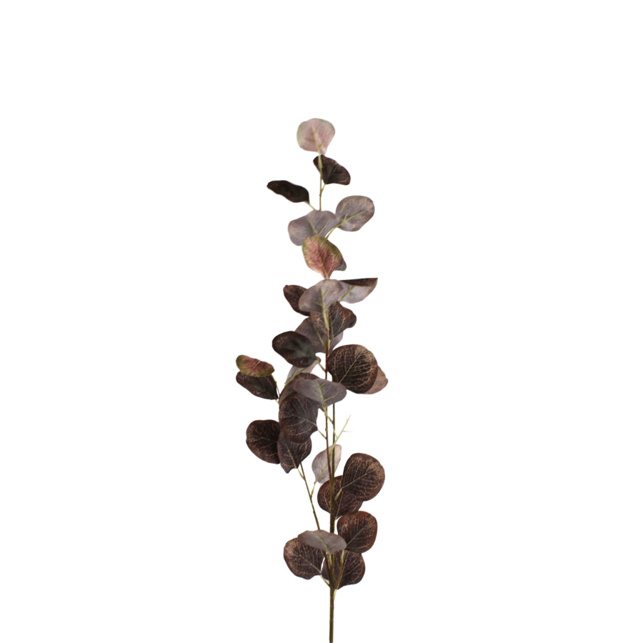 Eucalyptus Grene Kaffe farve 78cm