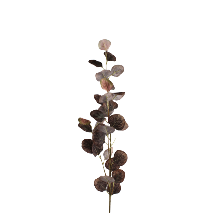 Eucalyptus Grene Kaffe farve 78cm