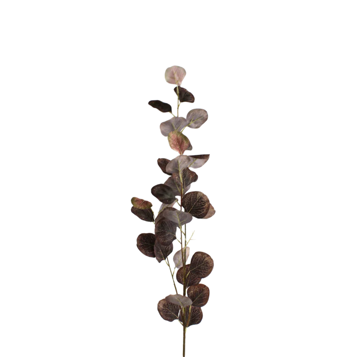 3 stk. Eucalyptus Grene i Kaffe Farve (H78cm)