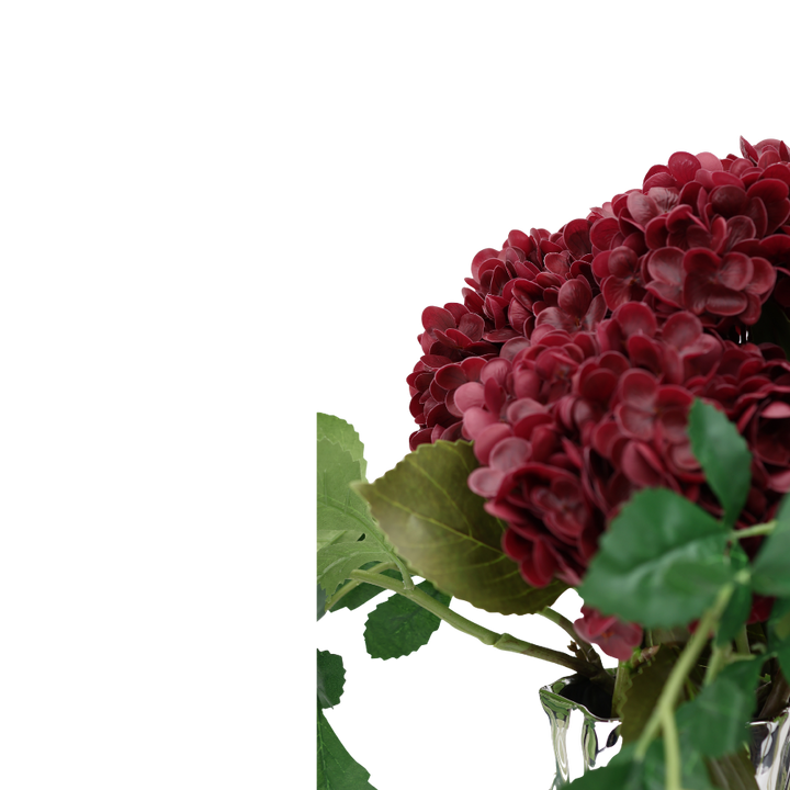 Evighedsbuket Rød Hortensia